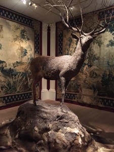 Deer by Julian Salaud